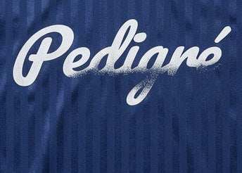 Pedigré USA Jersey